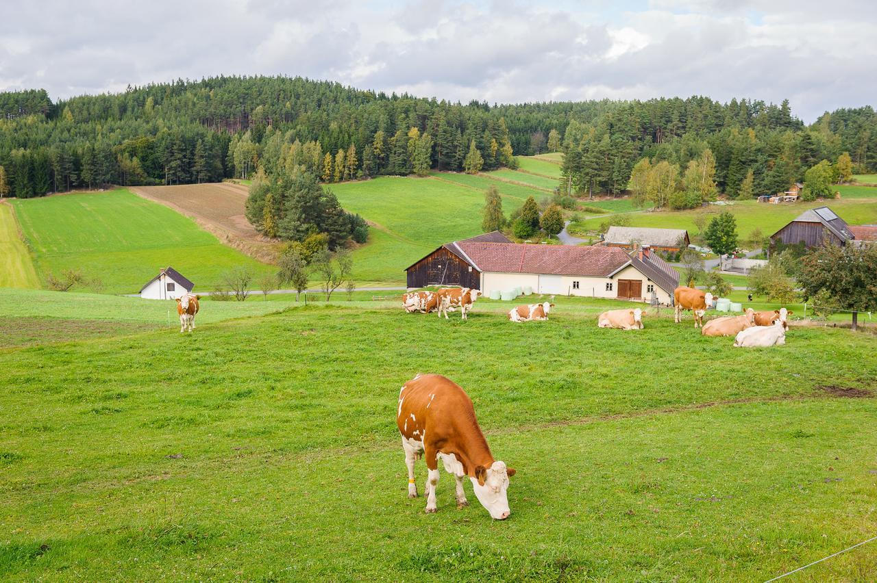 Gasthof Pension Seidl Arbesbach Esterno foto